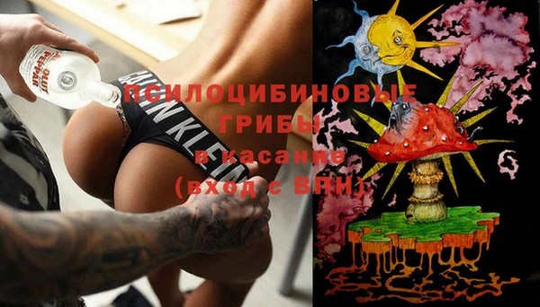 амф Зеленокумск